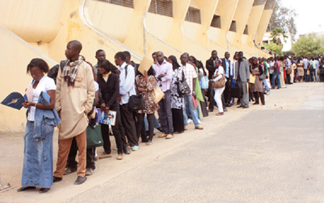 Emploi et insertion des jeunes 1000 jeunes ciblés par un Programme de l’Agetip et du ministère de la Jeunesse Emploi et insertion des jeunes 1000 jeunes ciblés par un Programme de l’Agetip et du ministère de la Jeunesse