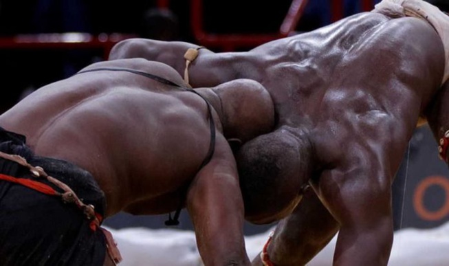 Dernière minute : Le CNG annonce une bonne nouvelle aux lutteurs Dernière minute : Le CNG annonce une bonne nouvelle aux lutteurs