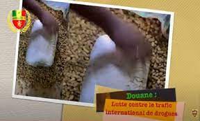 Douane : Un bus arrêté avec des sacs d’oranges où une quantité importante de drogue était cachée…