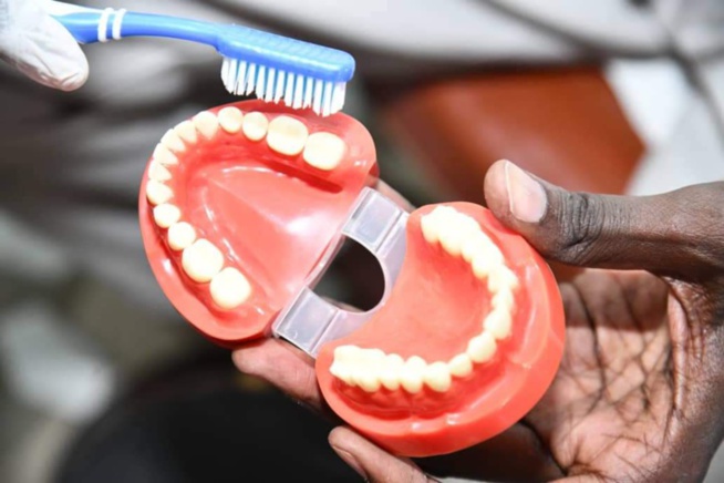 20 mars 2023/ Journée mondiale de la santé bccco-dentaire: Le sens d’une célébration 20 mars 2023/ Journée mondiale de la santé bccco-dentaire: Le sens d’une célébration