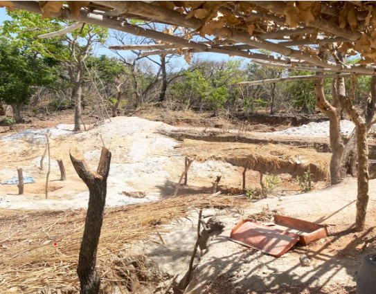 Kédougou : Un site d’orpaillage démantelé à Madina Sirimina Kédougou : Un site d’orpaillage démantelé à Madina Sirimina