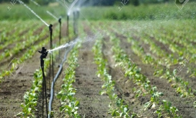 Accès à l’eau : Fida plaide pour des investissements en faveur des exploitations familiales