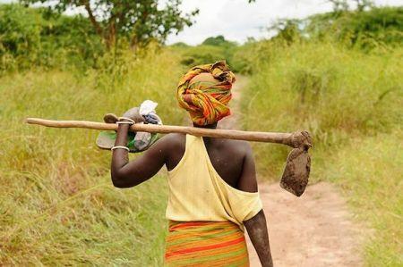 En Afrique, l’agriculture régénératrice peut représenter une valeur ajoutée brute de 70 milliards $ par an d’ici 2040 En Afrique, l’agriculture régénératrice peut représenter une valeur ajoutée brute de 70 milliards $ par an d’ici 2040