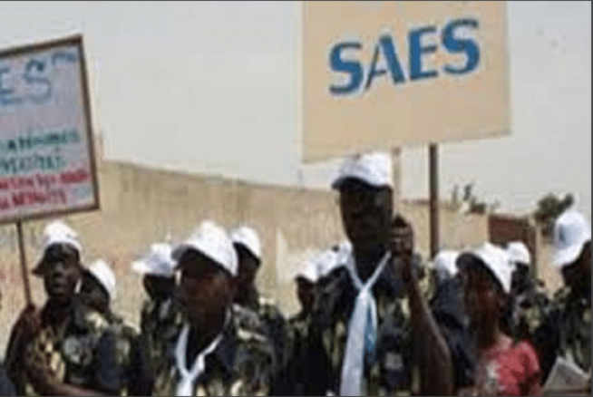 Lenteurs dans l’application du protocole d’accord du 6 janvier 2023 : Le Saes avertit et menace Lenteurs dans l’application du protocole d’accord du 6 janvier 2023 : Le Saes avertit et menace