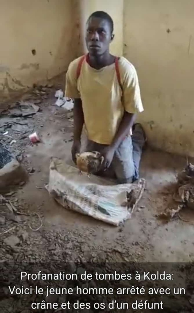 Nouvelle profanation de tombe à Kolda : Un jeune arrêté avec un crâne et des os d’un cadavre humain Nouvelle profanation de tombe à Kolda : Un jeune arrêté avec un crâne et des os d’un cadavre humain