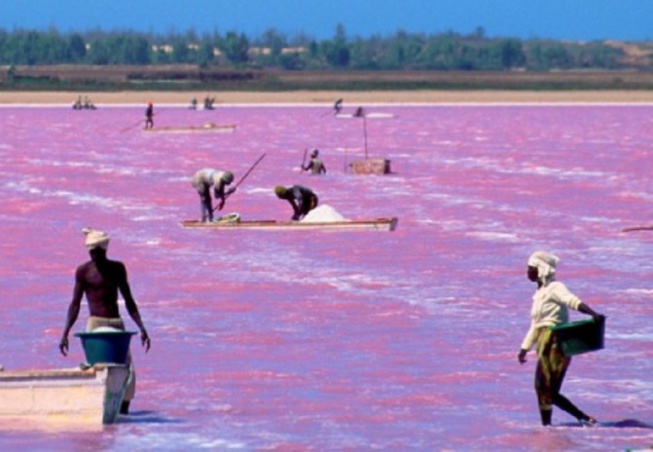 Alerte environnement : Le plan d'eau du Lac Rose a diminué de 70 %, en 50 ans, selon le directeur du CSE Alerte environnement : Le plan d'eau du Lac Rose a diminué de 70 %, en 50 ans, selon le directeur du CSE