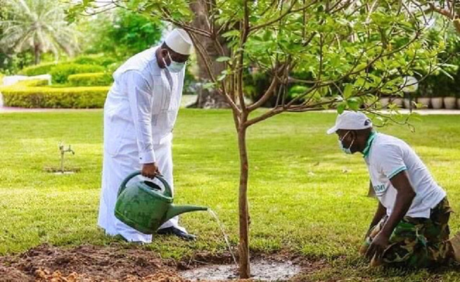 Forte canicule à Tambacounda : Le gouverneur invite chaque jeune à planter un arbre Forte canicule à Tambacounda : Le gouverneur invite chaque jeune à planter un arbre