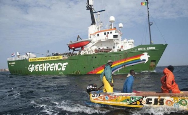 Altercations entre pêcheurs à Cayar : Greenpeace appelle au calme Altercations entre pêcheurs à Cayar : Greenpeace appelle au calme