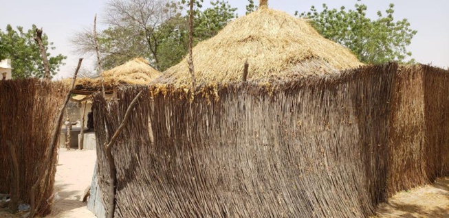 2023, ANNÉE SOCIALE DU PR MACKY SOCIALE: POLITIQUE SOCIALE DANS LE DÉPARTEMENT DE BIRKELANE 2023, ANNÉE SOCIALE DU PR MACKY SOCIALE: POLITIQUE SOCIALE DANS LE DÉPARTEMENT DE BIRKELANE
