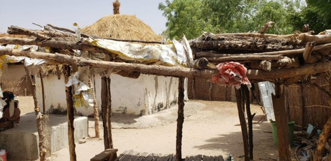 2023, ANNÉE SOCIALE DU PR MACKY SOCIALE: POLITIQUE SOCIALE DANS LE DÉPARTEMENT DE BIRKELANE 2023, ANNÉE SOCIALE DU PR MACKY SOCIALE: POLITIQUE SOCIALE DANS LE DÉPARTEMENT DE BIRKELANE