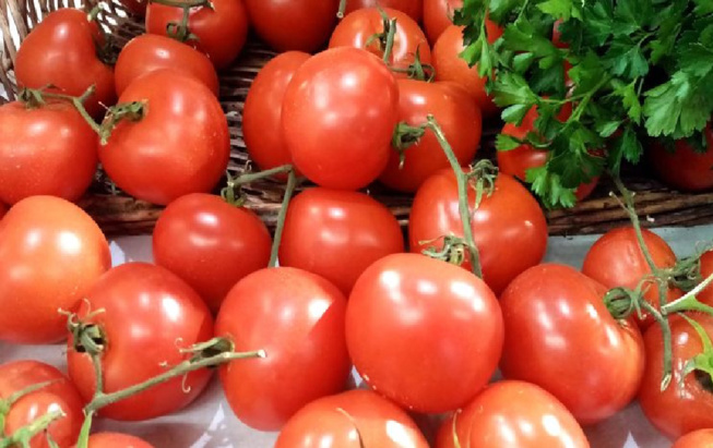 Horticulture : Le Maroc s’est hissé au rang de 3ème exportateur mondial de tomates en 2022 Horticulture : Le Maroc s’est hissé au rang de 3ème exportateur mondial de tomates en 2022