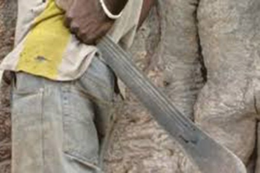 Un jeune homme menace de tuer son père avec une machette : 6 mois ferme requis contre lui Un jeune homme menace de tuer son père avec une machette : 6 mois ferme requis contre lui
