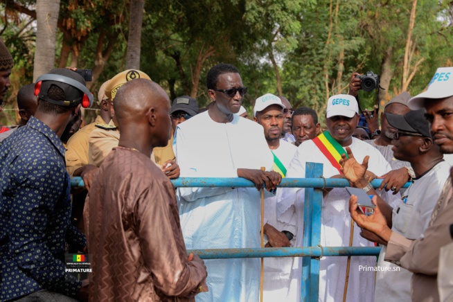 Le Premier Ministre, Ministre de l’Elevage et des Productions animales Amadou BA a présidé  la cérémonie officielle de réception de 312géniteurs « Guzera » à l’ENSA de Thiès