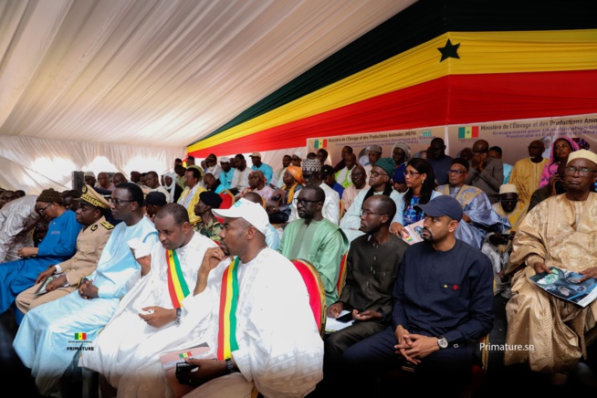 Le Premier Ministre, Ministre de l’Elevage et des Productions animales Amadou BA a présidé  la cérémonie officielle de réception de 312géniteurs « Guzera » à l’ENSA de Thiès