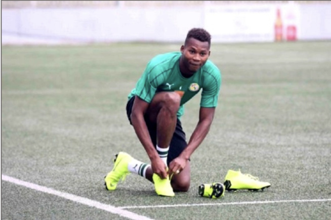 Sport Mercato des lions : Habib Diallo a la cote en Angleterre Sport Mercato des lions : Habib Diallo a la cote en Angleterre