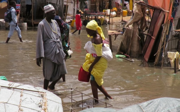 Ville de Touba: Les fortes pluies enregistrées dans la nuit du dimanche au lundi, ont causé beaucoup de désagréments aux populations Ville de Touba: Les fortes pluies enregistrées dans la nuit du dimanche au lundi, ont causé beaucoup de désagréments aux populations