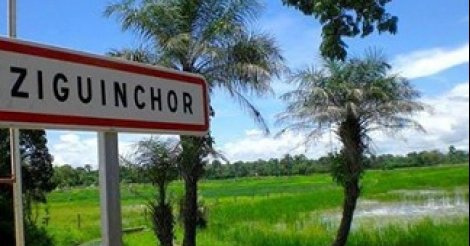 Bac 2023 : Ziguinchor affiche un taux de réussite de 14% au premier tour Bac 2023 : Ziguinchor affiche un taux de réussite de 14% au premier tour