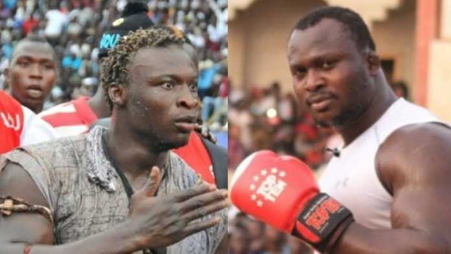 Choc Modou Lo vs Ama Baldé : Une nouvelle date fixée Choc Modou Lo vs Ama Baldé : Une nouvelle date fixée