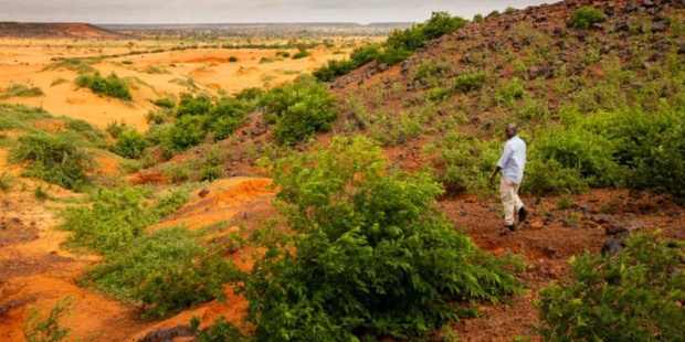 Mali : À la fin juin 2023, le portefeuille actif de la Bad s’élève à 422 milliards de FCFA Mali : À la fin juin 2023, le portefeuille actif de la Bad s’élève à 422 milliards de FCFA