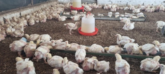 SN-City-Sangalkam: Les habitants unis pour des réponses contre les impacts négatifs de la SEDIMA SN-City-Sangalkam: Les habitants unis pour des réponses contre les impacts négatifs de la SEDIMA