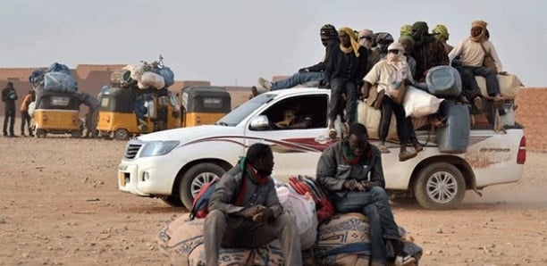Émigration Clandestine Et Terrorisme : Les Graves Révélations Du Journal «Le Quotidien» Émigration Clandestine Et Terrorisme : Les Graves Révélations Du Journal «Le Quotidien»