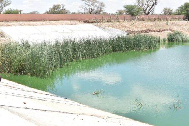 Bassin de Darou Rahmane et Pofdy: Les deux bassins renforcés et sécurisés Bassin de Darou Rahmane et Pofdy: Les deux bassins renforcés et sécurisés
