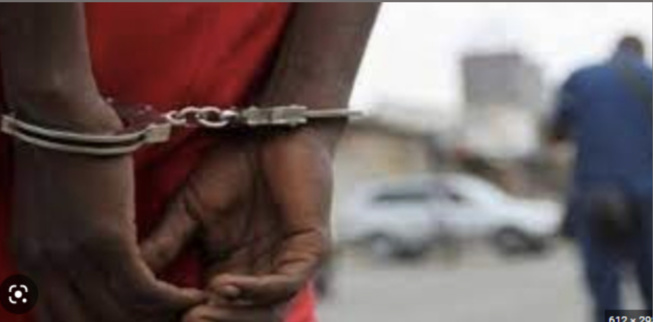 Kolda : Le vendeur de « maïga » qui a égorgé son ami, arrêté Kolda : Le vendeur de « maïga » qui a égorgé son ami, arrêté