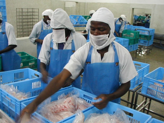 ASSURANCE-CAUTION : Un marché prometteur au Sénégal ASSURANCE-CAUTION : Un marché prometteur au Sénégal