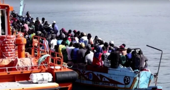 498 migrants sénégalais ont débarqué à El Hierro, hier 498 migrants sénégalais ont débarqué à El Hierro, hier