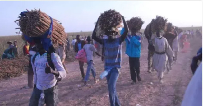 Démarrage des travaux des champs de « Khelcom »: L’appel aux disciples Démarrage des travaux des champs de « Khelcom »: L’appel aux disciples
