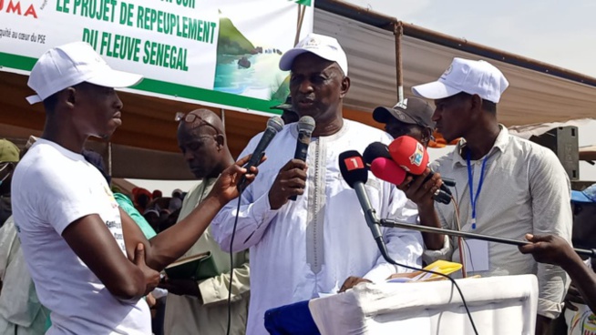 Projet de repeuplement du fleuve Sénégal: Le PUMA fait une grande mobilisation à Ngaolé Projet de repeuplement du fleuve Sénégal: Le PUMA fait une grande mobilisation à Ngaolé