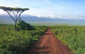 L’Afrique doit repenser la gestion de ses ressources naturelles pour éviter des conséquences socioéconomiques négatives (experts) L’Afrique doit repenser la gestion de ses ressources naturelles pour éviter des conséquences socioéconomiques négatives (experts)