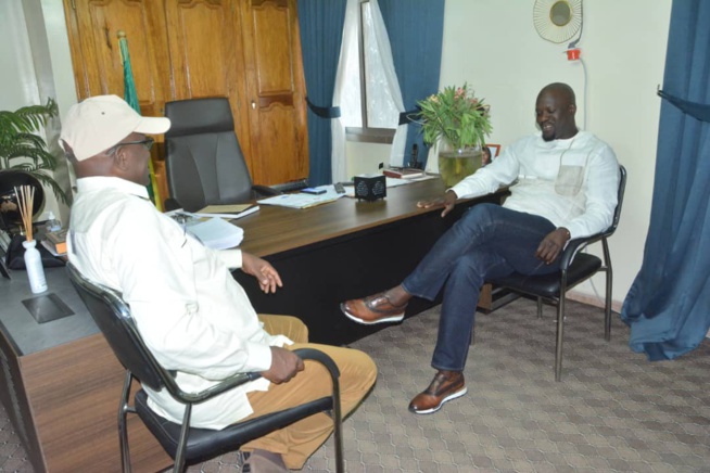 Remise de 2.244 parrains, Massaly 1er responsable BBY à se livrer à l'exercice à Thiès Remise de 2.244 parrains, Massaly 1er responsable BBY à se livrer à l'exercice à Thiès