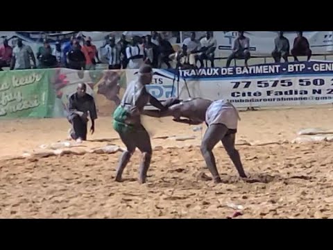 POKOLA BALDE VS GACKOU 2 - L'INTEGRALITE DU COMBAT - CE 29 OCTOBRE 2023 POKOLA BALDE VS GACKOU 2 - L'INTEGRALITE DU COMBAT - CE 29 OCTOBRE 2023