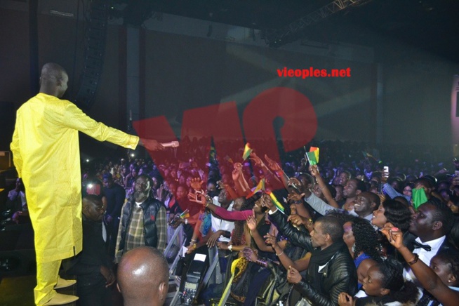 L'ambiance au rendez-vous du Dock de Pullman avec Pape Diouf revivez les images. L'ambiance au rendez-vous du Dock de Pullman avec Pape Diouf revivez les images.