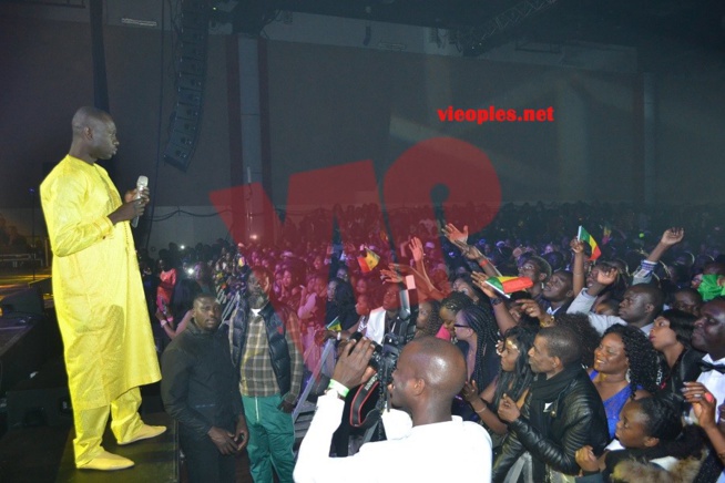 L'ambiance au rendez-vous du Dock de Pullman avec Pape Diouf revivez les images. L'ambiance au rendez-vous du Dock de Pullman avec Pape Diouf revivez les images.