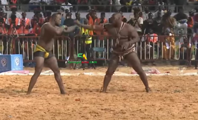 Modou Lô – Ama Baldé : Les Sanctions Du CNG Sont Tombées Modou Lô – Ama Baldé : Les Sanctions Du CNG Sont Tombées