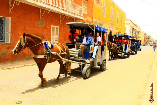 Revivez les images du défilé de St Louis Fashion Night organisé par le mannequin Eva Chon. Revivez les images du défilé de St Louis Fashion Night organisé par le mannequin Eva Chon.