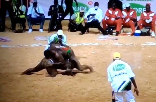 Lutte : face à Tapha Tine, Eumeu Sène a commis l’erreur d’engager une fausse bagarre (Babacar Simon Faye) Lutte : face à Tapha Tine, Eumeu Sène a commis l’erreur d’engager une fausse bagarre (Babacar Simon Faye)