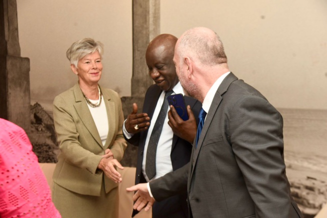 En images de la cérémonie d'ouverture 6éme éditions des Start-up AFRITECH avec le MEDS en collaboration avec le CJE. En images de la cérémonie d'ouverture 6éme éditions des Start-up AFRITECH avec le MEDS en collaboration avec le CJE.