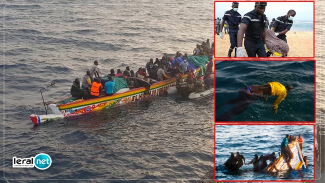 Les Péripéties Inattendues de l'Émigration : Récits Surprenants et Insolites Les Péripéties Inattendues de l'Émigration : Récits Surprenants et Insolites