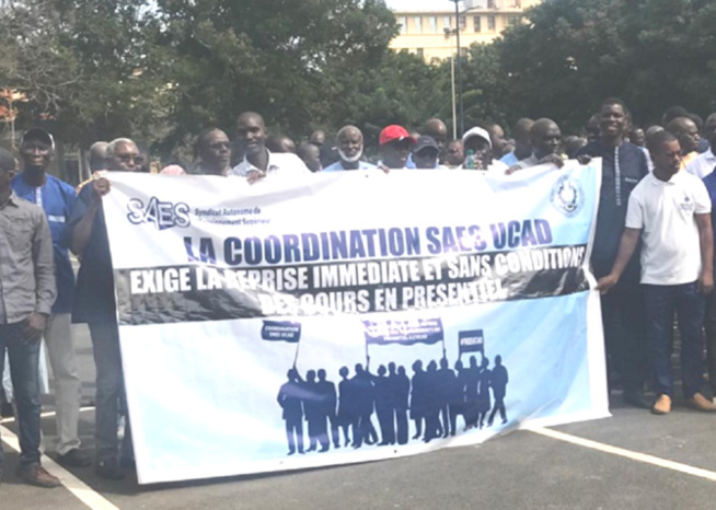 Défilé de mode à la FASEG : le Syndicat Autonome de l'Enseignement Supérieur très choqué Défilé de mode à la FASEG : le Syndicat Autonome de l'Enseignement Supérieur très choqué