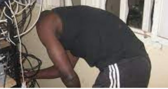 Des distributeurs de réseaux câblés arrêtés : leur collectif crie au scandale et alerte l'opinion Des distributeurs de réseaux câblés arrêtés : leur collectif crie au scandale et alerte l'opinion