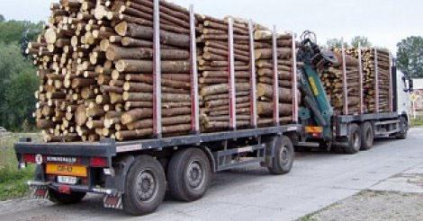 4 Guinéens arrêtés à Kédougou pour trafic de bois 4 Guinéens arrêtés à Kédougou pour trafic de bois