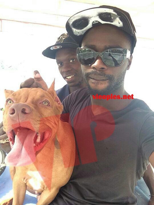 Le fils de Idrissa Seck Ablaye achéte un chein pitbul à 1 million de franc CFA. Le fils de Idrissa Seck Ablaye achéte un chein pitbul à 1 million de franc CFA.
