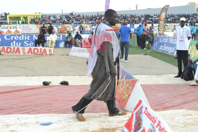 Le premier choc de Aziz Production: L'écurie  Fass humilie l'écurie Boul Falé Tyson mord la poussière du stade Demba Diop face à Gris Bordeau. Revivez les moments forts.