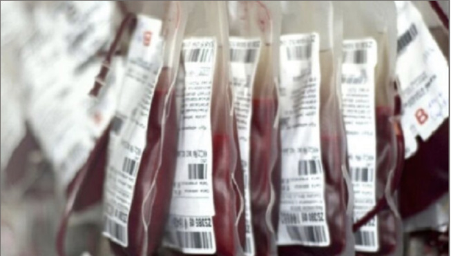 Manque de sang à l’hôpital régional : Alerte rouge à Kolda Manque de sang à l’hôpital régional : Alerte rouge à Kolda