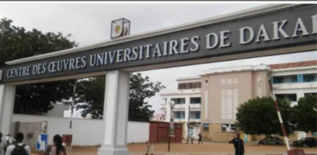 L’UCAD va recevoir 18 000 nouveaux bacheliers L’UCAD va recevoir 18 000 nouveaux bacheliers