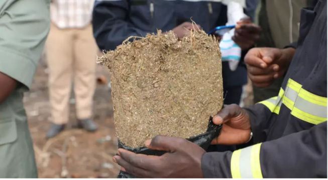 Trafic de chanvre indien: Un récidiviste piégé via une livraison de 1 kg Trafic de chanvre indien: Un récidiviste piégé via une livraison de 1 kg