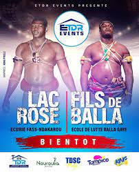 Lamb : Face à Fils de Balla ce dimanche, Lac Rose joue sa dernière carte Lamb : Face à Fils de Balla ce dimanche, Lac Rose joue sa dernière carte